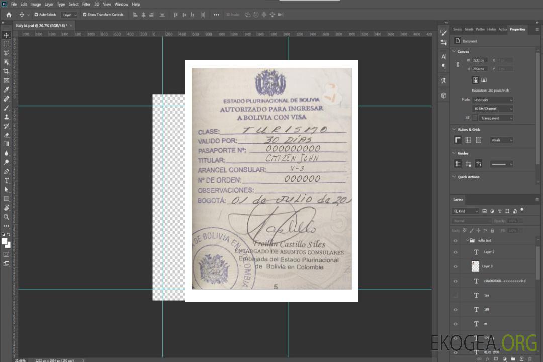 Visa BOLIVIE (version tampon) template